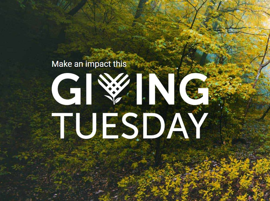 Join Us This Giving Tuesday: Make a Difference with SABA Hospitality!